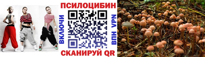 МЕГА вход Кущёвская Псилоцибиновые грибы мицелий